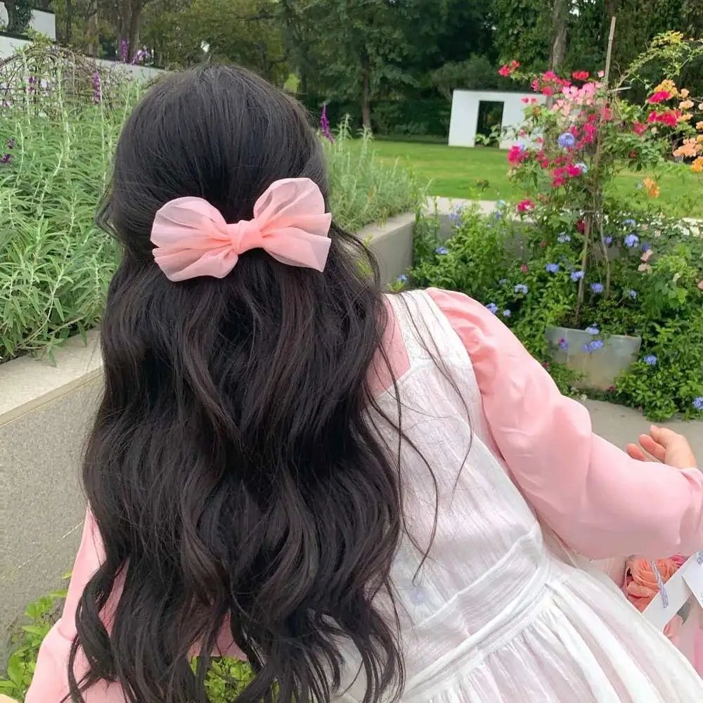 狮子护卫队第二季